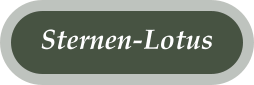 Energie fürs Leben