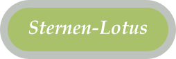 Energie fürs Leben
